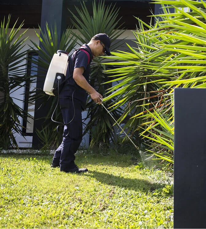 pest control operator applying product